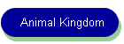 Animal Kingdom