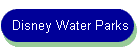 Disney Water Parks